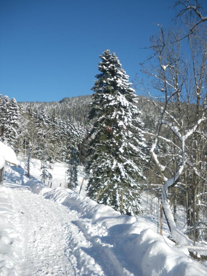 Gite Im-Berg Metzeral Exterior photo