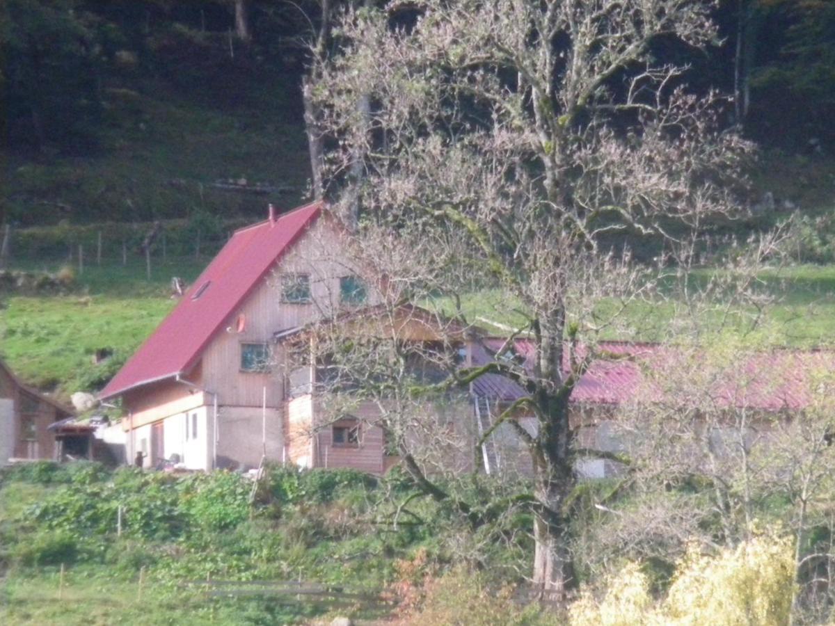 Gite Im-Berg Metzeral Exterior photo